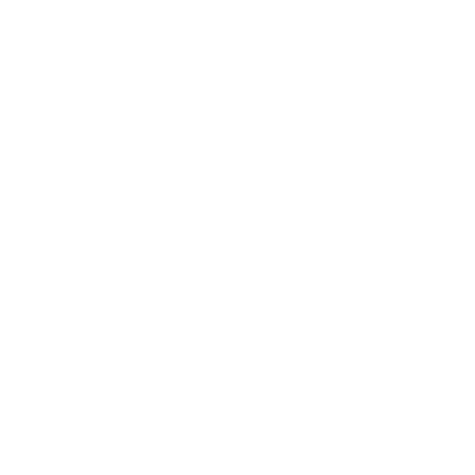 Hotel Leads Logo